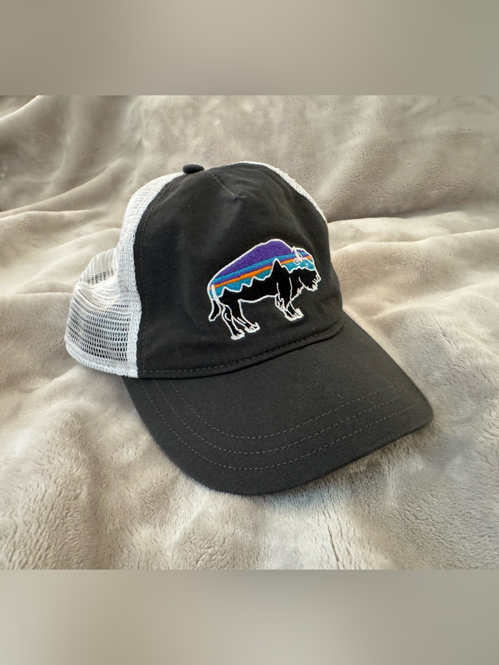 Patagonia Buffalo Trucker Cap